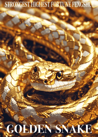 Golden snake  Lucky 03