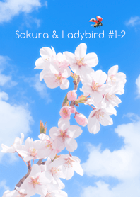 Sakura & Ladybird #1-2