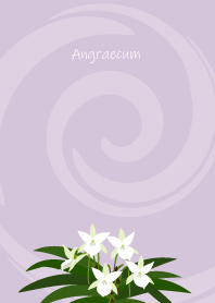 November's birth flower,Angraecum