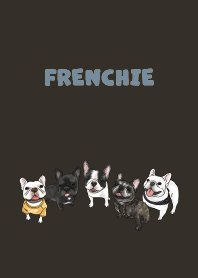 frenchie1 / chocolate
