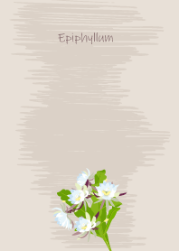 August's birth flower,Epiphyllum