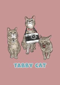 tabbycat11 - pale pink