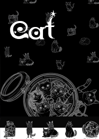 แมวกลางคืนในขวด โทนสีขาวดำ1