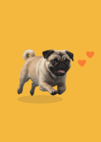 Cute Pug Theme 2 Yellow 03