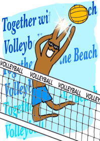 Together with the Beach Volleyball