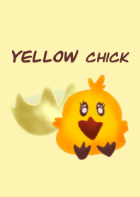 Yellow chick 1