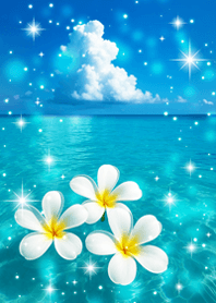 Luck UP! Wishes come true! Plumeria