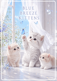 Blue Breeze Kittens