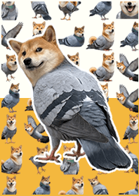 Shiba pigeon Orange