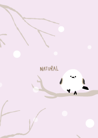 Long-tailed Tit snow29 from Japan