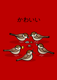 cute sparrow eating(rich red)