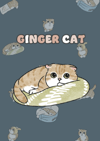 gingercat11 / dark steel blue