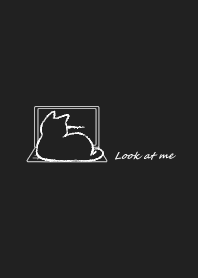 Cat wants attention -black-