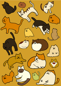 Cats Cats