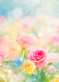 Beautiful rose flower(R3584)