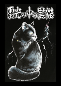 雷光の中の黒猫