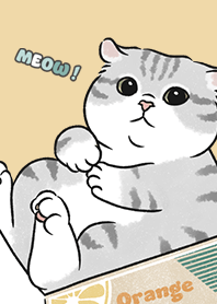 neko single15 / yellow