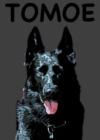 ともちゃんのきせかえ