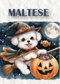 マルチーズ犬トビーのハロウィン-JP