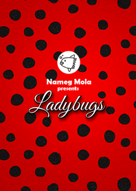 Ladybugs