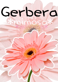 *Flower* Gerbera #01-4