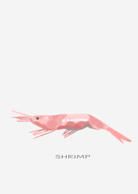 Sweet Shrimp