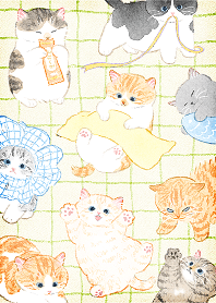 My cat!(short hair, all colors)
