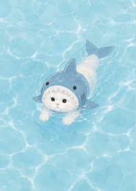The cat that swims