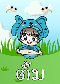 ตั้ม - ธีม (สีเขียว)