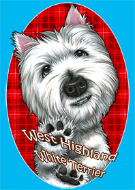 West Highland White Terrier