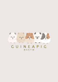 GUINEA PIG-PINK BEIGE 22