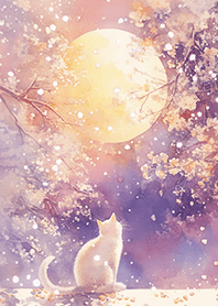 ✨在賞月の夢幻白貓❤️❤️