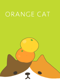 Orange and cat