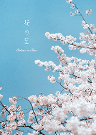 Sakura no Sora