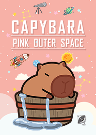 Capybara/spa/starry sky/pink