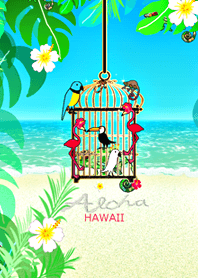 ビーチ*ハワイ＊ALOHA+229