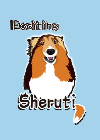 Exciting Sheltie