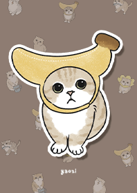 neko combo3 / brown
