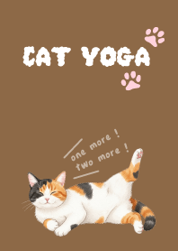 แมวกำลังเล่นโยคะ_a7
