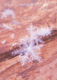 Snow Crystal Photo #16-7Not AI