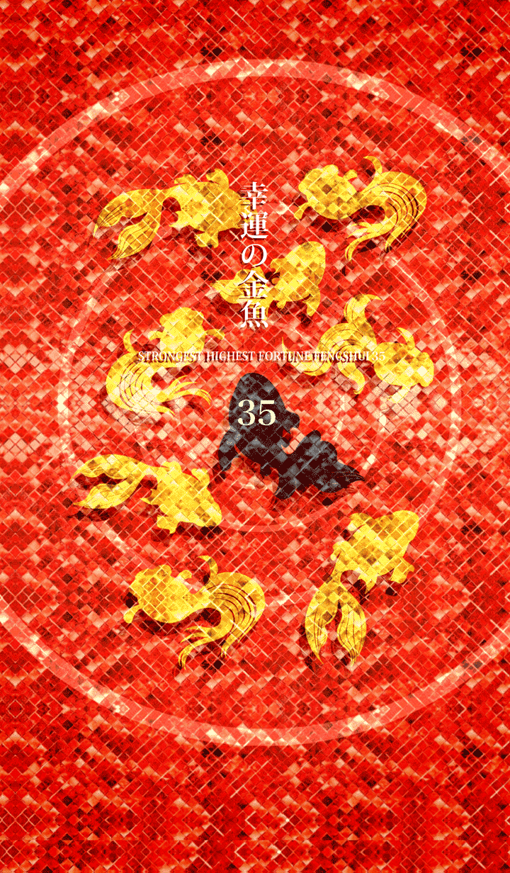 最強最高金運風水 幸運の金魚 35