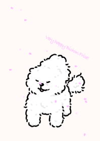 Very happy Bichon frise!
