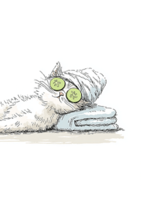 Cat enjoying calm spa time