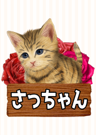 さっちゃん専用のネコのなまえ名前着せ替え