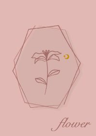 ดอกไม้ <ดวงจันทร์> สีชมพูคอรัล