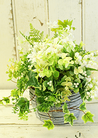 theme【flower】28