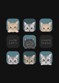 CATS - American Shorthair - CLASSY BLUE