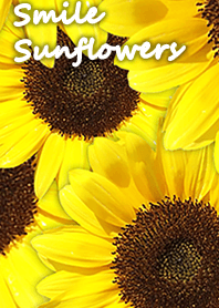 Smile Sunflowers