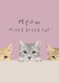 Meow-Mixed breed cat 03-DUSTY ROSE PINK