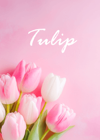 チューリップ vol.45